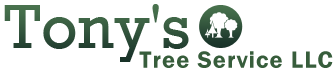 Logo, Tony's Tree Service LLC - Tree Services